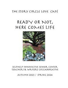 The Story Circle Cafe Anthology - Cover